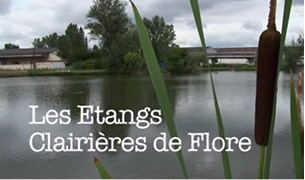 Les Etangs Clairières de Flore