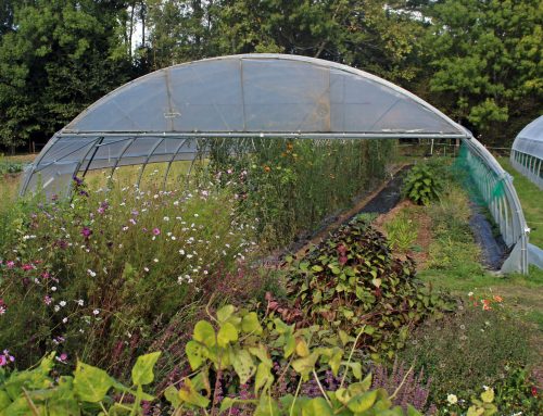PAT : le volet agricole
