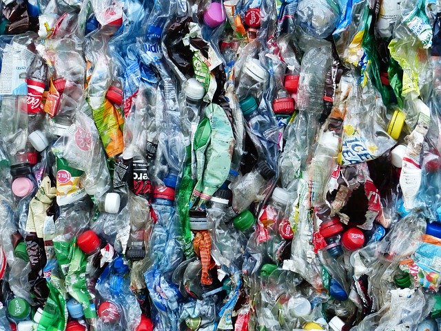 L’économie circulaire sur la Rive Droite