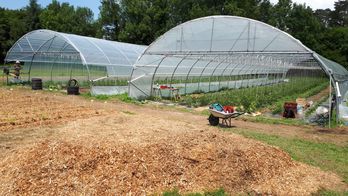 Les serres de la micro-ferme de Floirac