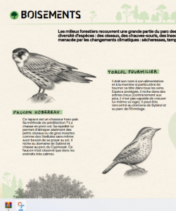 carte 2