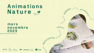 Bandeau – Animations Nature