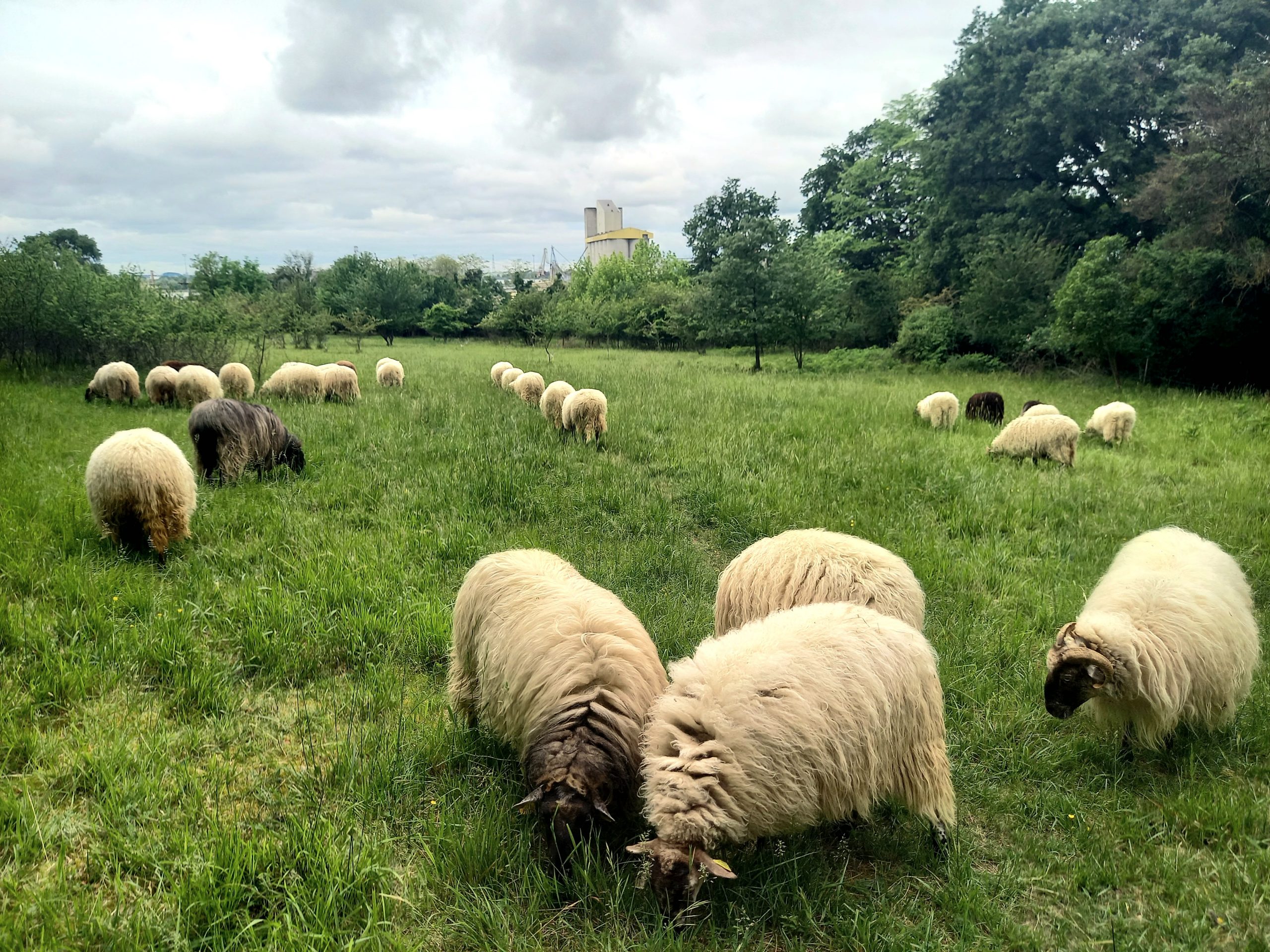 Le parc des Coteaux, grand territoire de nature