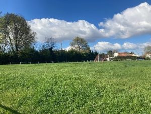Photo du stade Labat, bientôt transformé en site de maraîchage