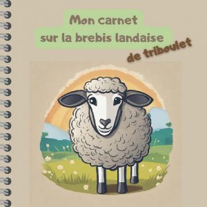 Une Carnet pédagogique-prototype