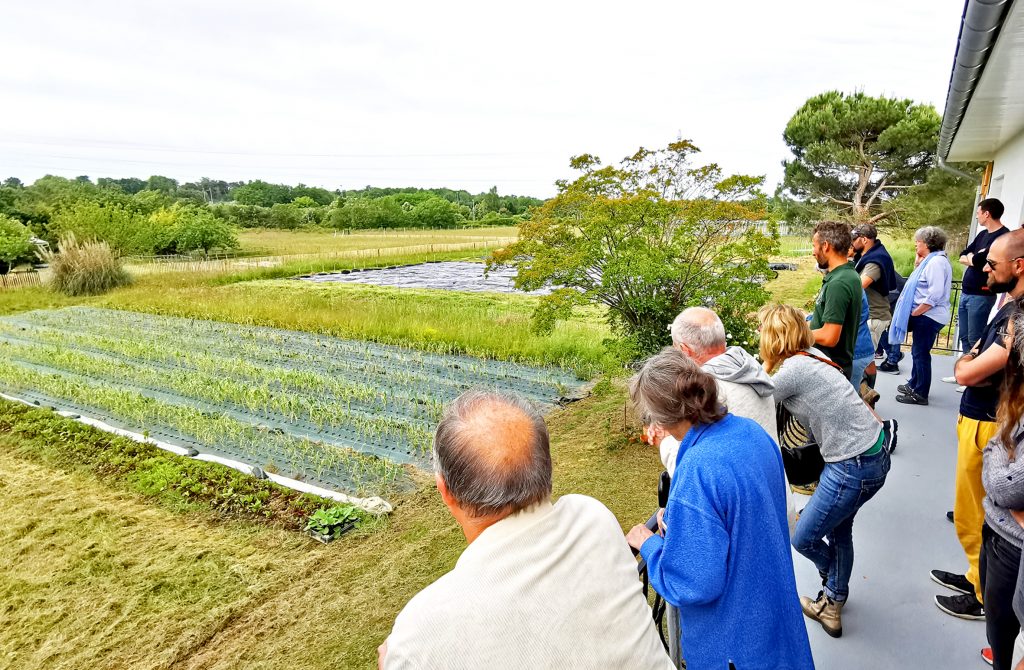 Au Canon, les légumes ramènent leur fraise !