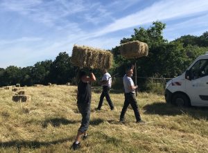 photo des jardiniers chargeant les bottes de foin sur un camion