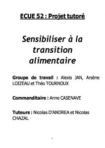 Rapport projet tutoré LPRO jeu 2024