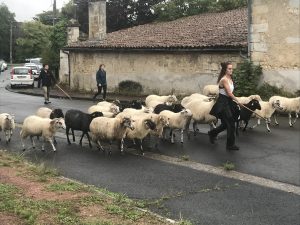 Parc des Coteaux : l’heure des bilans