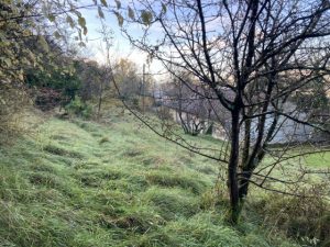 Parc des Coteaux : coordonner la gestion écologique et des usages