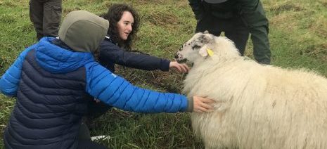 Des étudiants géographes arpentent le parc des Coteaux