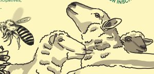 vignette animations 2026